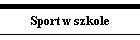 Sport w szkole